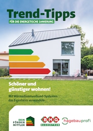 Der aktuelle Danhauser Prospekt Trend-Tipps für die energetische Sanierung