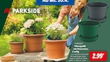 Aktuelle Blumentopf Angebote bei Lidl in Bonn Aktuelles Pflanzgefäß mit Untersetzer, 2-teilig Angebot bei Lidl in Bonn ab 2,99 €