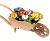 Aktuelle Schubkarre Angebote bei Wreesmann in Bremerhaven Aktuelles Holz-Pflanzschubkarre Angebot bei Wreesmann in Bremerhaven ab 24,99 €