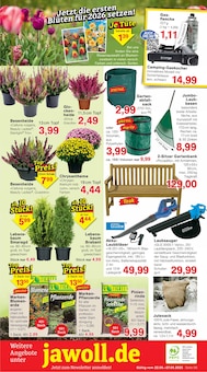 Damenunterwäsche Angebot im aktuellen Jawoll Prospekt auf Seite 12