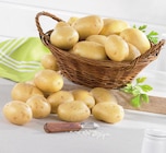 Promo Pomme de terre de consommation lavée à 1,89 € dans le catalogue U Express à Le Bourget