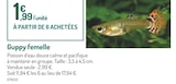 Guppy femelle - Botanic Guppy femelle à 1,99 € dans le catalogue Botanic