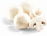 Champignons weiß im Angebot bei Netto Marken-Discount in Trier Champignons weiß Angebote bei Netto Marken-Discount Trier für 1,69 €
