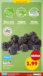 Penny Obst im Prospekt 