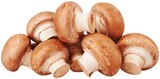 Braune Bio Champignons im Angebot bei REWE in Bochum Braune Bio Champignons Angebote von REWE BIO bei REWE Bochum für 1,79 €