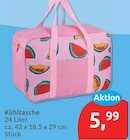 Kühltasche für 5,99 € bei budni im Angebot Kühltasche im aktuellen budni Prospekt