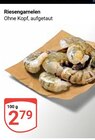 Riesengarnelen Angebote bei GLOBUS Krefeld für 2,79 €