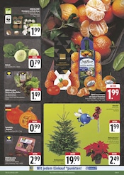 Garten im E center Prospekt in Weimar Aktueller E center Prospekt mit Garten, "Wir lieben Lebensmittel!", Seite 3