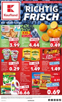 Ariel im aktuellen Kaufland Prospekt (Aachen) Ariel im Kaufland Prospekt "Aktuelle Angebote" mit 61 Seiten (Aachen)