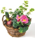 Bepflanzter Holzkorb mit Frühlingsblumen  im aktuellen Netto mit dem Scottie Prospekt für 5,99 €