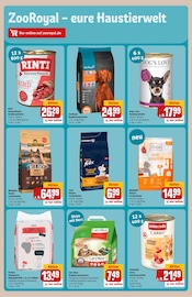Ähnliche Endoskopkamera Angebote im Prospekt "Dein Markt" von REWE Ähnliches Angebot bei REWE in Prospekt "Dein Markt" gefunden auf Seite 30
