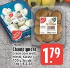 Champignons braun Angebote von GUT&GÜNSTIG bei EDEKA Krefeld für 1,79 €