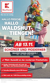 Kaufland Supermarkt Prospekt der aktuellen Woche mit 72 Seiten, gültig von 06.11.2025 bis 12.11.2025, in Dogern und Umgebung Aktueller Kaufland Supermarkt Prospekt in Dogern und Umgebung, "Aktuelle Angebote" mit 72 Seiten, 06.11.2025 - 12.11.2025