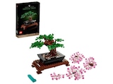 Aktuelle Bonsai Angebote bei MediaMarkt Saturn in Bielefeld Aktuelles Botanicals 10281 Bonsai Baum Bausatz, Mehrfarbig Angebot bei MediaMarkt Saturn in Bielefeld ab 35,06 €