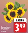 Sonnenblumen für 3,99 € bei E center im Angebot Sonnenblumen im aktuellen E center Prospekt