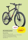 Mountainbike Angebote von zundapp bei ROLLER Pirna für 299,99 €