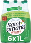 Eau minérale naturelle pétillante - SAINT AMAND - Intermarché à Amiens Eau minérale naturelle pétillante - SAINT AMAND en promo chez Intermarché Amiens à 0,94 €