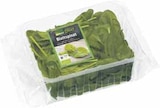 Bic Italienischer Rucola, Pflücksalat, Feldsalat oder Blattspinat bei WEZ im Minden Prospekt für 1,00 €