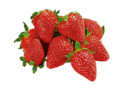 Erdbeeren im Netto Marken-Discount Prospekt Erdbeeren im aktuellen Netto Marken-Discount Prospekt für 0,99 €