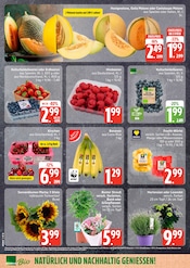 Aktueller E center Prospekt mit Erdbeeren, "Top Angebote", Seite 8
