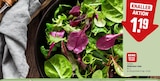 Wildkräuter Salat im Angebot bei REWE in Fürth Wildkräuter Salat Angebote von REWE Beste Wahl bei REWE Fürth für 1,19 €