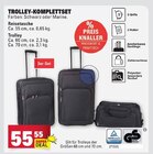 Trolley-Komplettset Angebote bei E center Weinheim für 55,55 €
