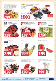 Brombeeren im Marktkauf Prospekt Brombeeren im Marktkauf Prospekt Top Angebote auf S. 5