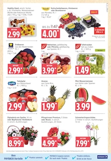 Erdbeeren im Marktkauf Prospekt "Top Angebote" mit 44 Seiten (Hamburg)