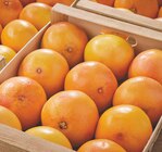 Pomelo dans le catalogue Netto