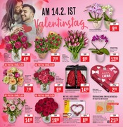 Aktueller Marktkauf Prospekt mit Tulpen, "Aktuelle Angebote", Seite 2