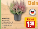 Besenheide Angebote bei REWE Bielefeld für 1,49 €