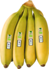 Aktuelles Bio Bananen Angebot bei E center in München ab 1,59 €