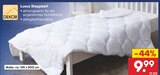 Aktuelle Bettdecke Angebote bei Netto Marken-Discount in Oldenburg Aktuelles Luxus Steppbett Angebot bei Netto Marken-Discount in Oldenburg ab 9,99 €