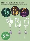 LED-Solar-Gartenstecker Neon Kaktus im V-Markt Prospekt LED-Solar-Gartenstecker Neon Kaktus von im aktuellen V-Markt Prospekt für 5,99 €