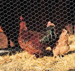 Promo Grillage triple torsion Hauteur 0,50 m à 32,95 € dans le catalogue LaMaison.fr à Teloché