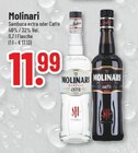 Sambuca Extra im Angebot bei Trinkgut in Lehrte Sambuca Extra Angebote von Molinari bei Trinkgut Lehrte für 11,99 €