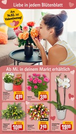 Aktueller REWE Prospekt mit Valentinstag, "Dein Markt", Seite 8