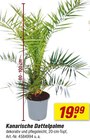 Angebot im toom Baumarkt Cham Prospekt toom Baumarkt Cham Prospekt mit im Angebot fĂŒr 19,99 âŹ