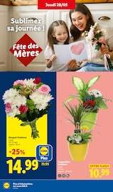 Promos Jardinage dans le catalogue "Ça vaut le coup." de Lidl Jardinage en promo dans le catalogue Lidl à la page 26
