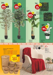 Offre Cottage dans le catalogue Maxi Bazar du moment à la page 4