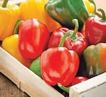 Promo Poivron Tricolore à 1,28 € dans le catalogue Intermarché Super à Vétraz-Monthoux