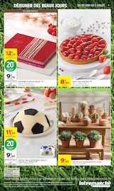 Plante Verte en promo dans le catalogue Intermarché Super à la page 17