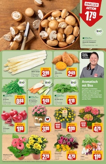 Blumen im REWE Prospekt "Dein Markt" mit 24 Seiten (Lübeck)
