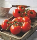 Tomate ronde en grappe - U Express à Drancy Tomate ronde en grappe en promo chez U Express Drancy à 2,50 €