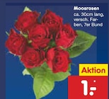 Aktuelles Moosrosen Angebot bei Netto Marken-Discount in Kassel ab 1,00 €