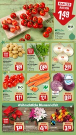 Ähnliche Blumenerde Angebote im Prospekt "Dein Markt" von REWE in Regensburg Ähnliche Angebote wie Blumenerde im Prospekt "Dein Markt" auf Seite 9 von REWE in Regensburg
