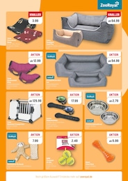 ZooRoyal Hundebett im Prospekt ZooRoyal Hundebett im Prospekt
