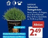 Aktuelle Kräuter Angebote bei ALDI SÜD in Bonn Aktuelles Italienische Festtagskräuter Angebot bei ALDI SÜD in Bonn ab 2,49 €