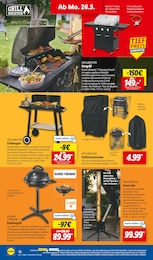Lidl Tischgrill im Prospekt Lidl Tischgrill im Prospekt