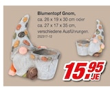 Blumentopf Gnom Angebote bei Möbel AS Bruchsal für 15,95 €